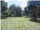 Chichester NSW 2420