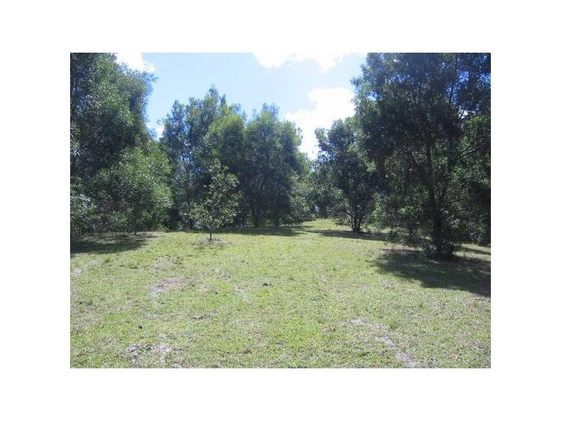 Chichester NSW 2420