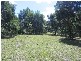 Chichester NSW 2420