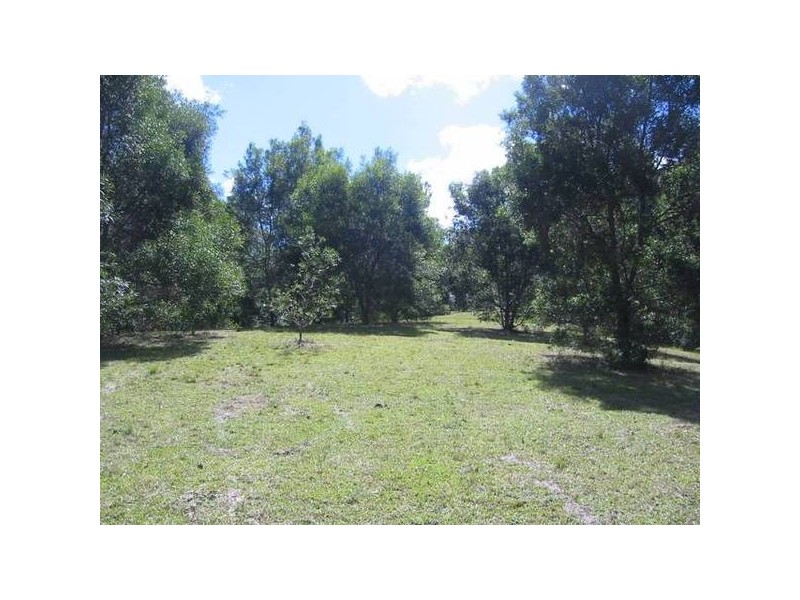 Chichester NSW 2420