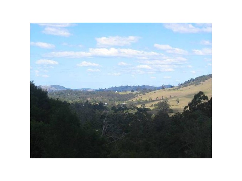 Chichester NSW 2420