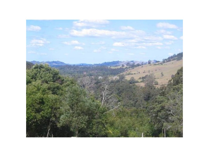 Chichester NSW 2420