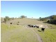 513, 530 & Lot 1 Chichester Road, CHICHESTER VIA, Dungog NSW 2420