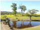 513, 530 & Lot 1 Chichester Road, CHICHESTER VIA, Dungog NSW 2420