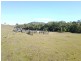 513, 530 & Lot 1 Chichester Road, CHICHESTER VIA, Dungog NSW 2420