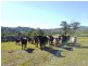 513, 530 & Lot 1 Chichester Road, CHICHESTER VIA, Dungog NSW 2420