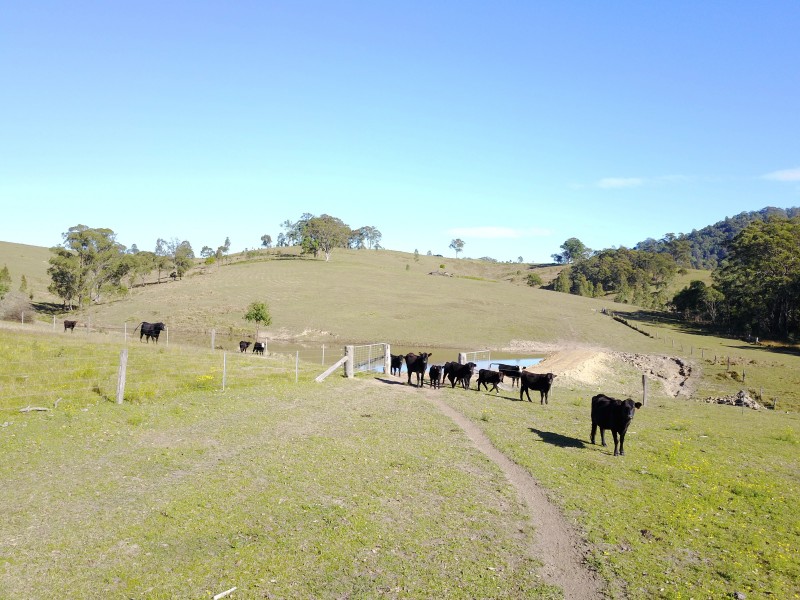 Chichester Road, Chichester Via, Dungog NSW 2420