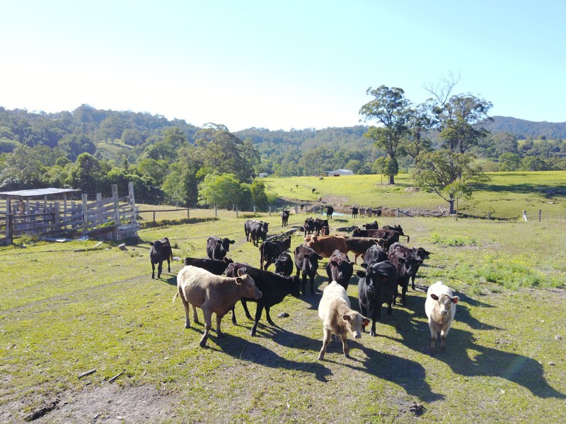 Chichester Road, Chichester Via, Dungog NSW 2420