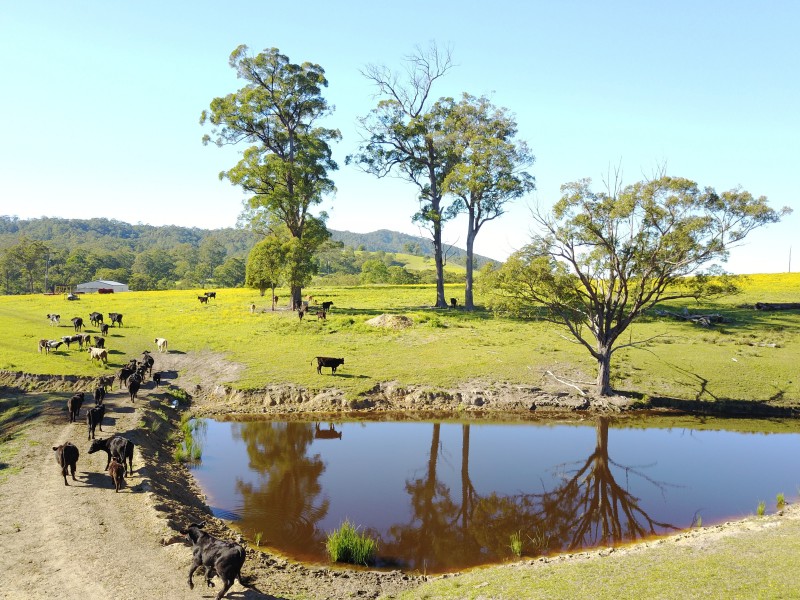 Chichester Road, Chichester Via, Dungog NSW 2420