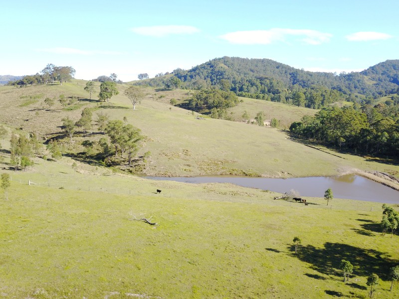 Chichester Road, Chichester Via, Dungog NSW 2420