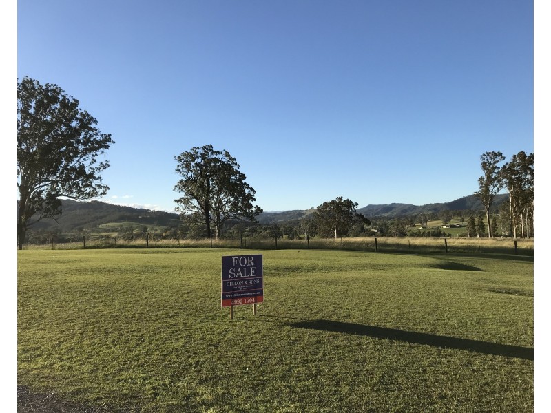 Lot 124,  Park Street, East Gresford NSW 2311