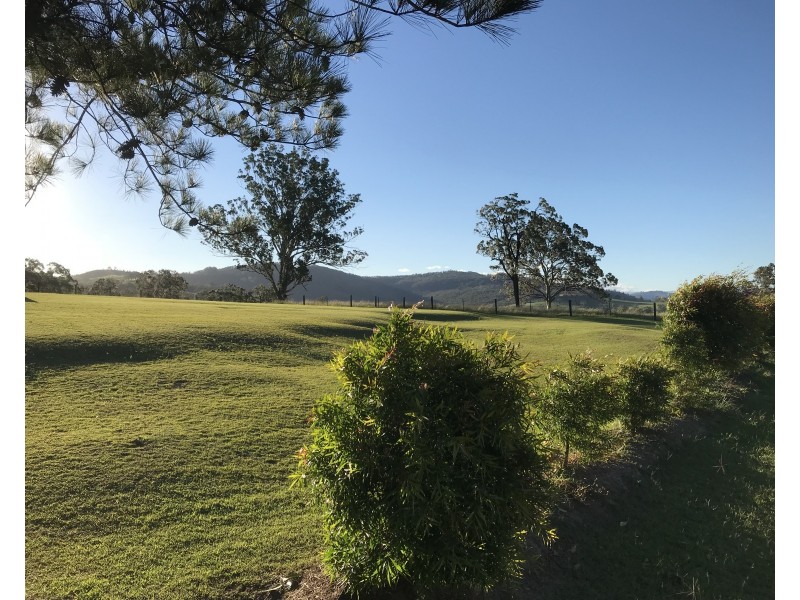 Lot 124,  Park Street, East Gresford NSW 2311