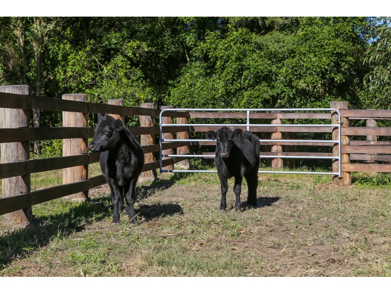 308 Mill Creek Road, Stroud NSW 2425