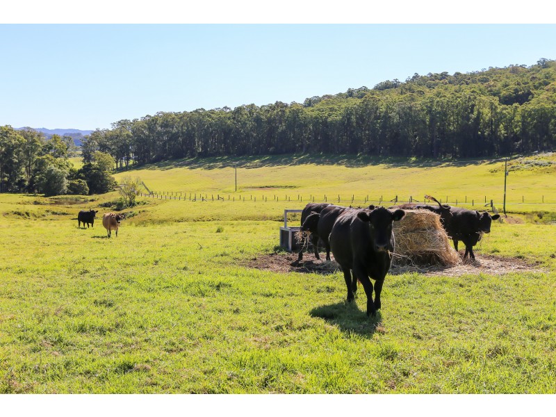 308 Mill Creek Road, Stroud NSW 2425