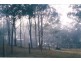 Dungog NSW 2420