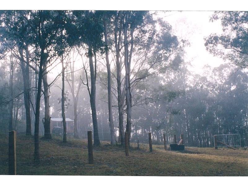 Dungog NSW 2420