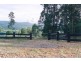 Dungog NSW 2420