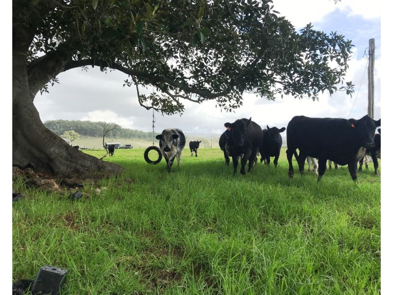 26 Langlands Road, Glen Oak NSW 2320