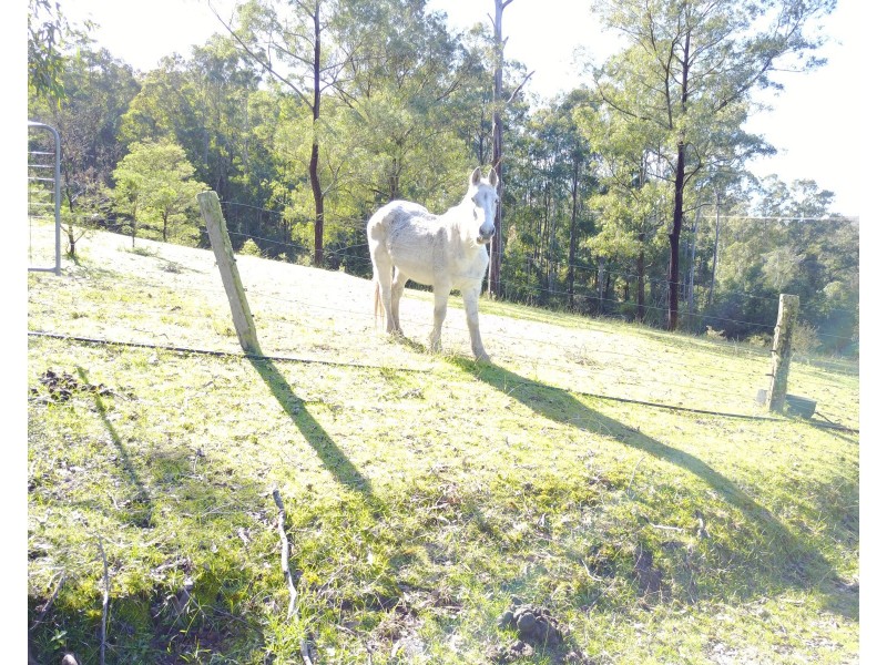 710 Black Camp Road, CAMBRA Via, Dungog NSW 2420