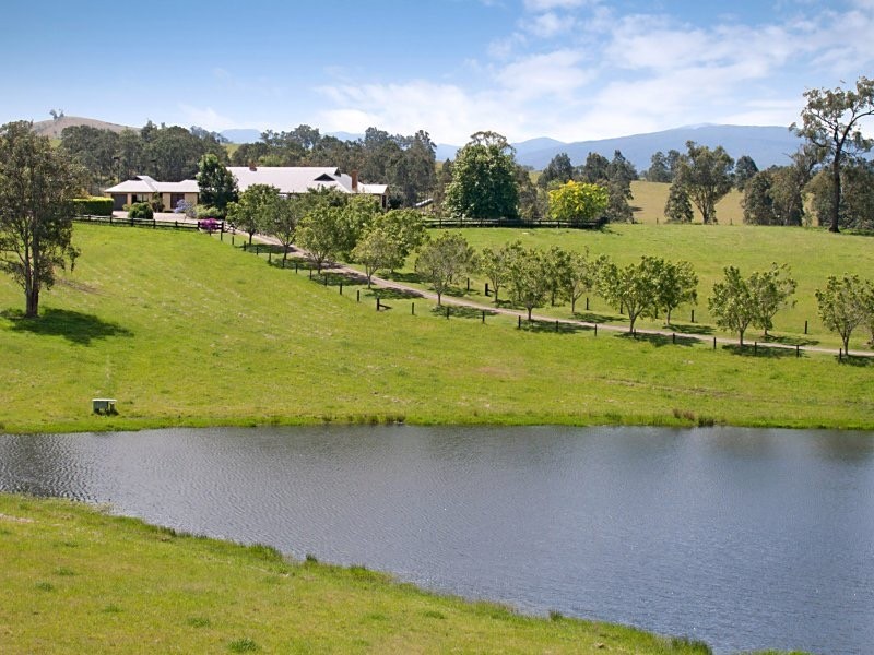 319 Chichester Dam Road, Dungog NSW 2420