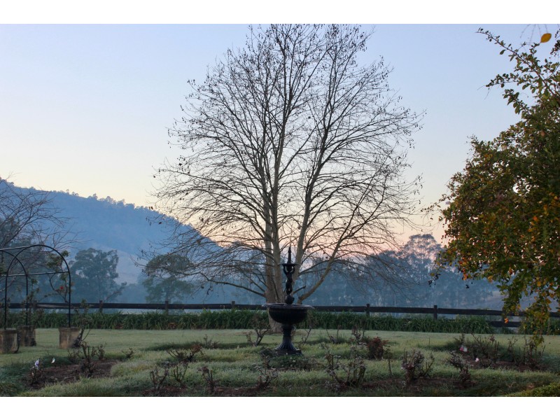 319 Chichester Dam Road, Dungog NSW 2420