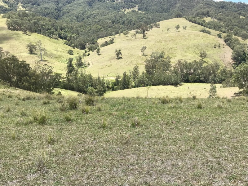 545 Masseys Creek Road, Eccleston Via, East Gresford NSW 2311