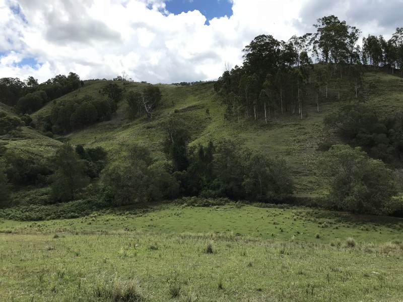 545 Masseys Creek Road, Eccleston Via, East Gresford NSW 2311