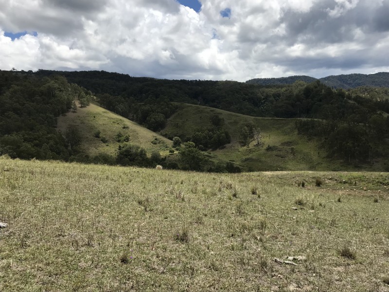 545 Masseys Creek Road, Eccleston Via, East Gresford NSW 2311