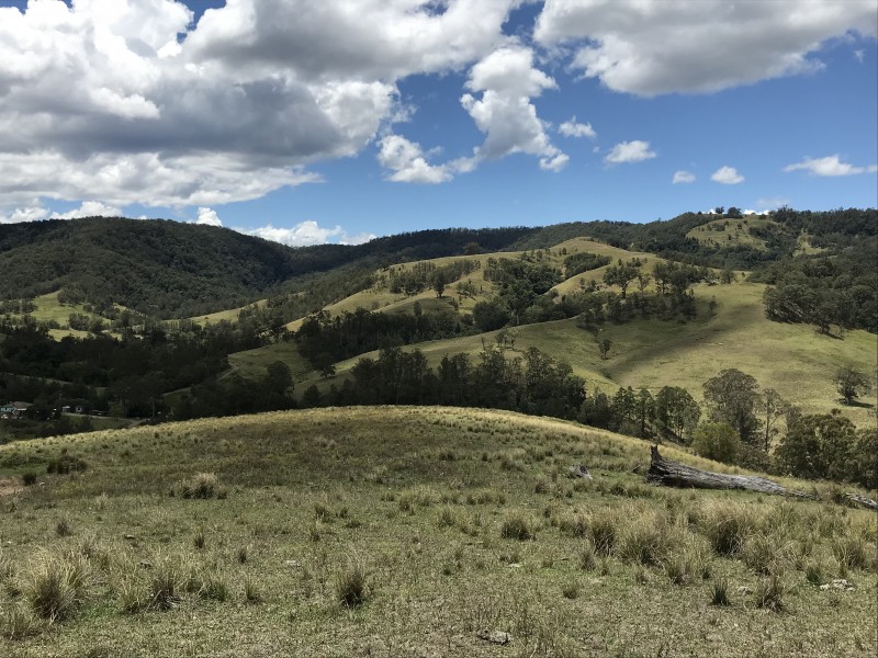 545 Masseys Creek Road, Eccleston Via, East Gresford NSW 2311