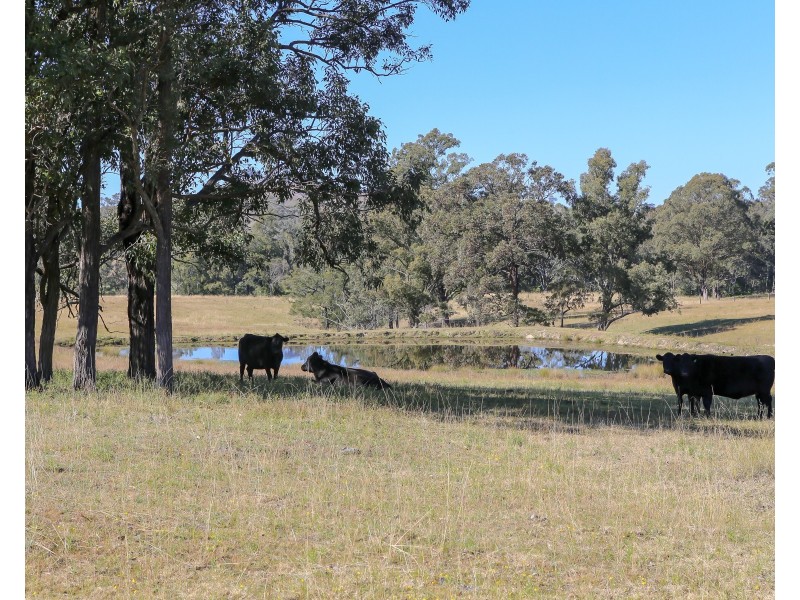 345 Allyn River Road, East Gresford NSW 2311