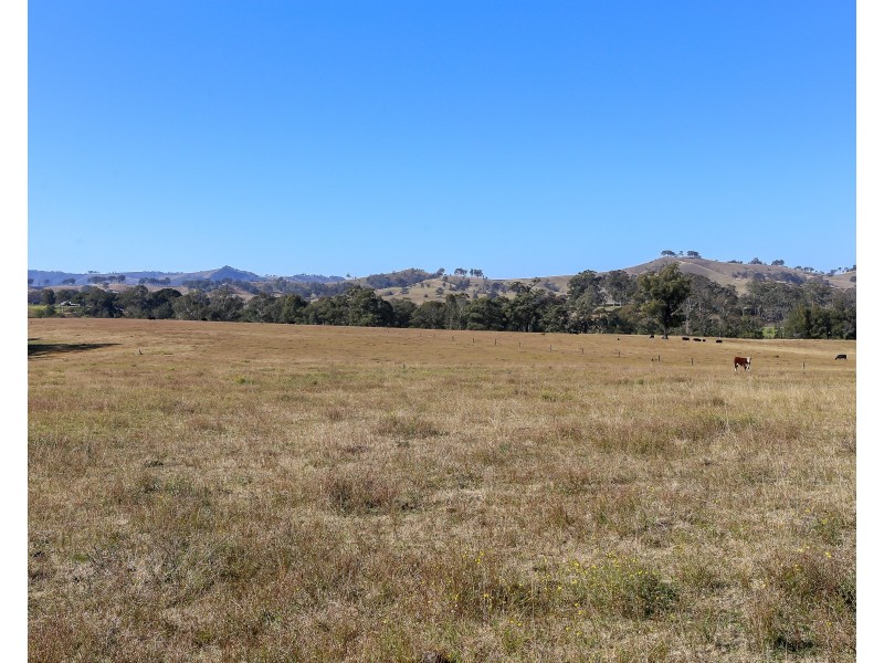 345 Allyn River Road, East Gresford NSW 2311