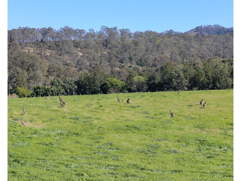 345 Allyn River Road, East Gresford NSW 2311