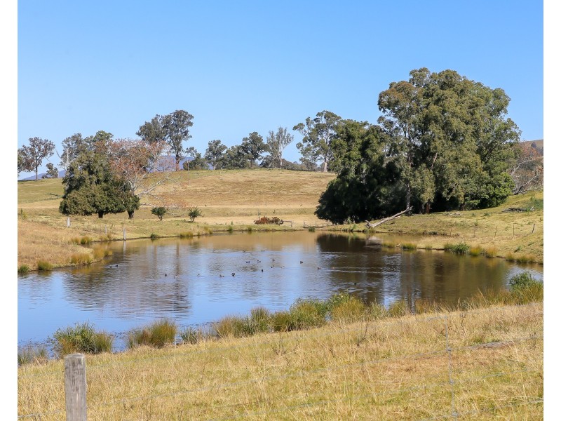 345 Allyn River Road, East Gresford NSW 2311