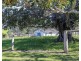 345 Allyn River Road, East Gresford NSW 2311
