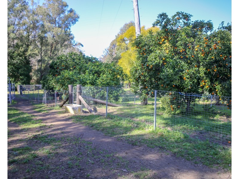 493 Allyn River Road, East Gresford NSW 2311