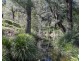 493 Allyn River Road, East Gresford NSW 2311
