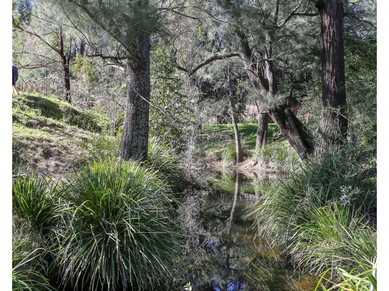 493 Allyn River Road, East Gresford NSW 2311