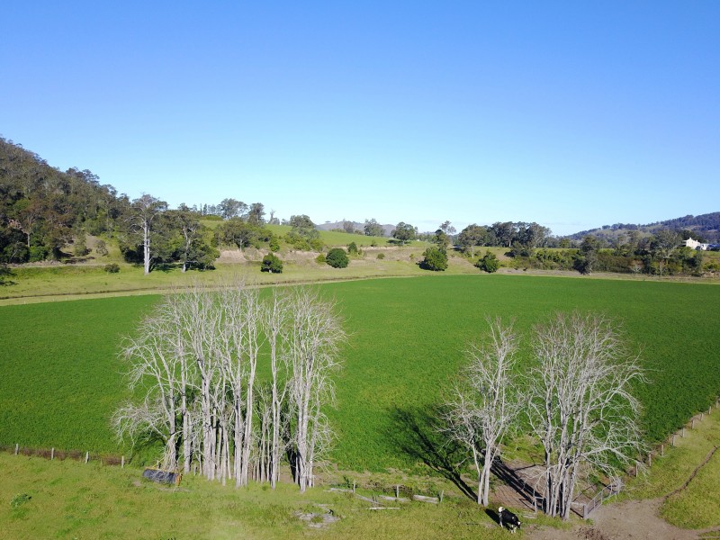 1058 FOSTERTON ROAD, Dungog NSW 2420