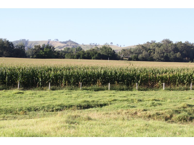 1058 FOSTERTON ROAD, Dungog NSW 2420