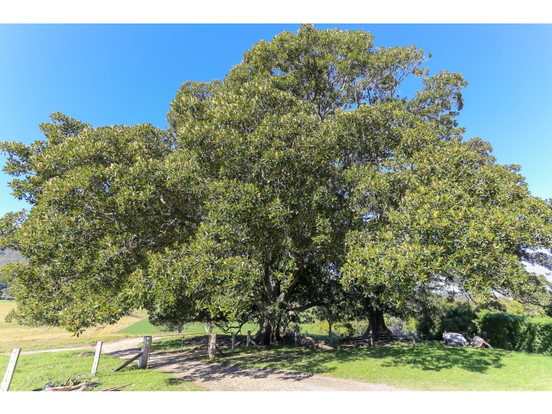 1058 FOSTERTON ROAD, Dungog NSW 2420