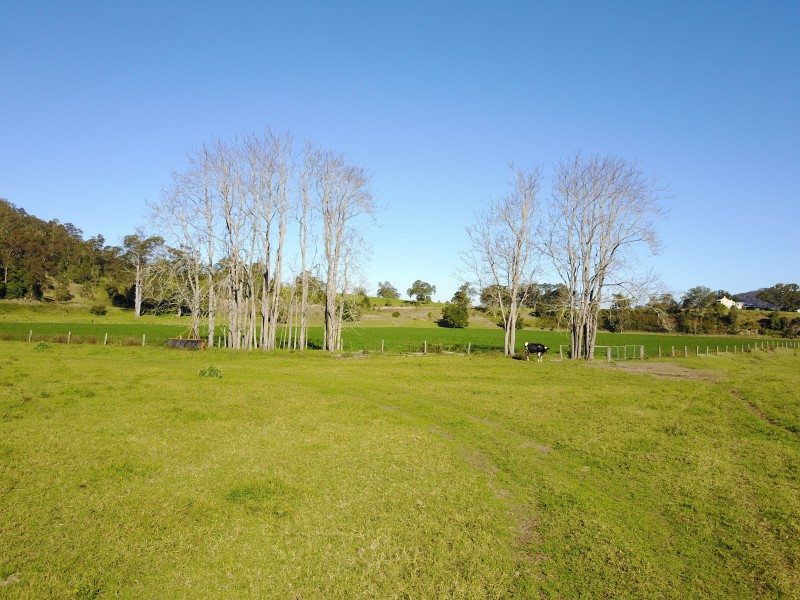 1058 FOSTERTON ROAD, Dungog NSW 2420