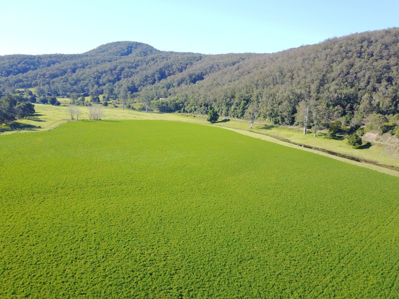 1058 FOSTERTON ROAD, Dungog NSW 2420