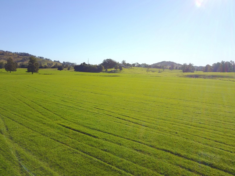 1058 FOSTERTON ROAD, Dungog NSW 2420