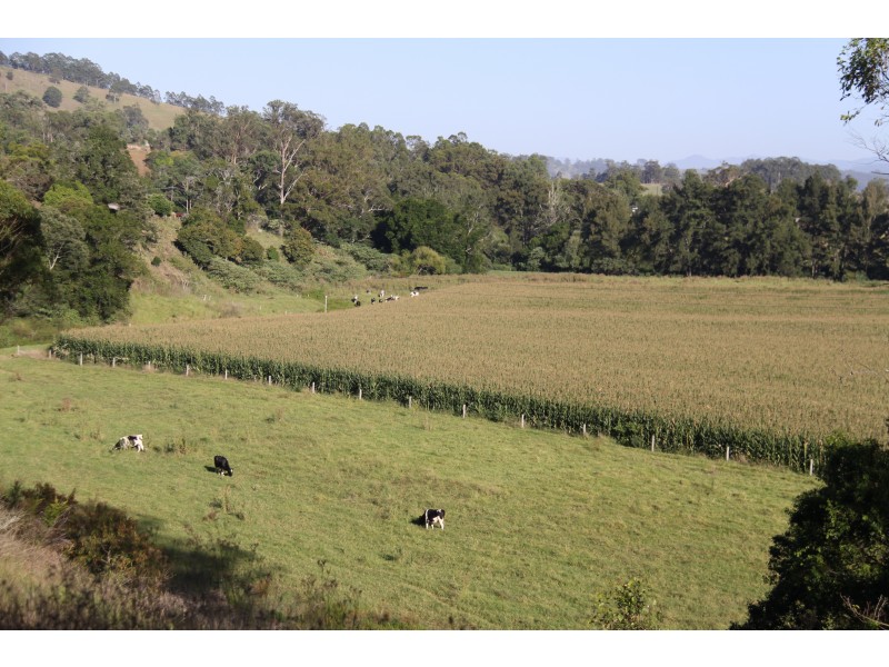 1058 FOSTERTON ROAD, Dungog NSW 2420