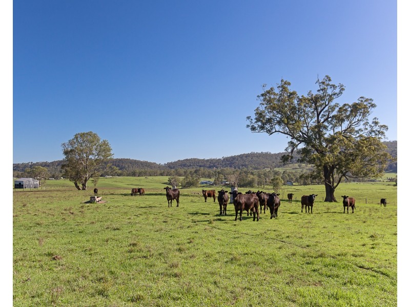 68 Dungog Road, Paterson NSW 2421