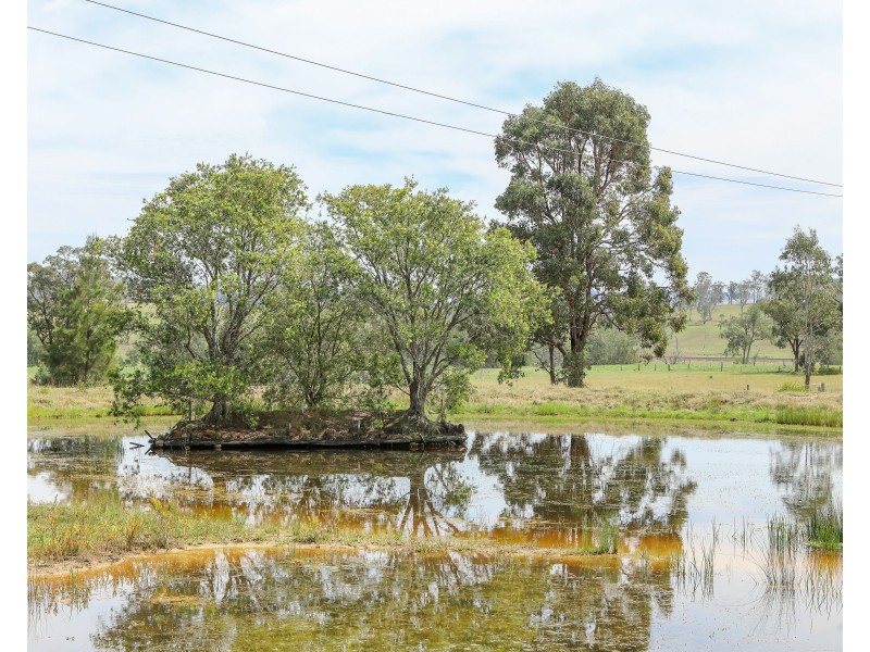 638 Wallarobba – Brookfield Road, WALLAROBBA Via, Dungog NSW 2420