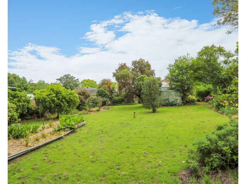 28 Brown Street, Dungog NSW 2420