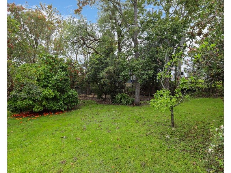 28 Brown Street, Dungog NSW 2420