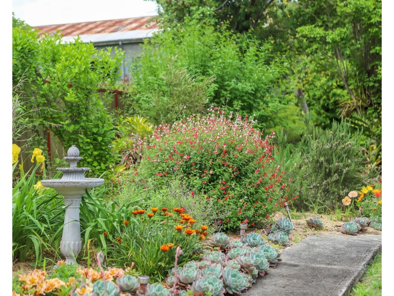 28 Brown Street, Dungog NSW 2420