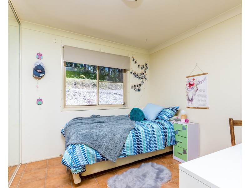 243 Wangat Trig Road, Dungog NSW 2420